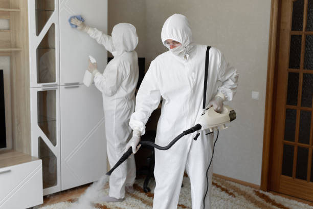 Affordable Sewage Cleanup solutions in New Madison, OH